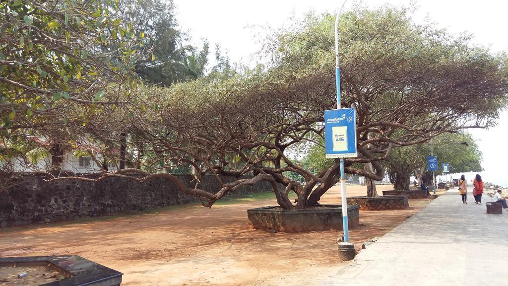 Niya Nest Homestay Kochi Eksteriør bilde
